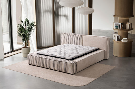 MOLY BETT